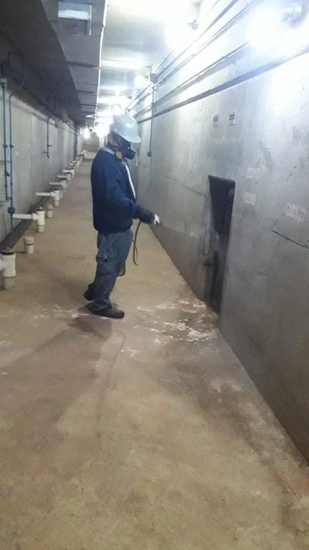 Dedetização escorpião