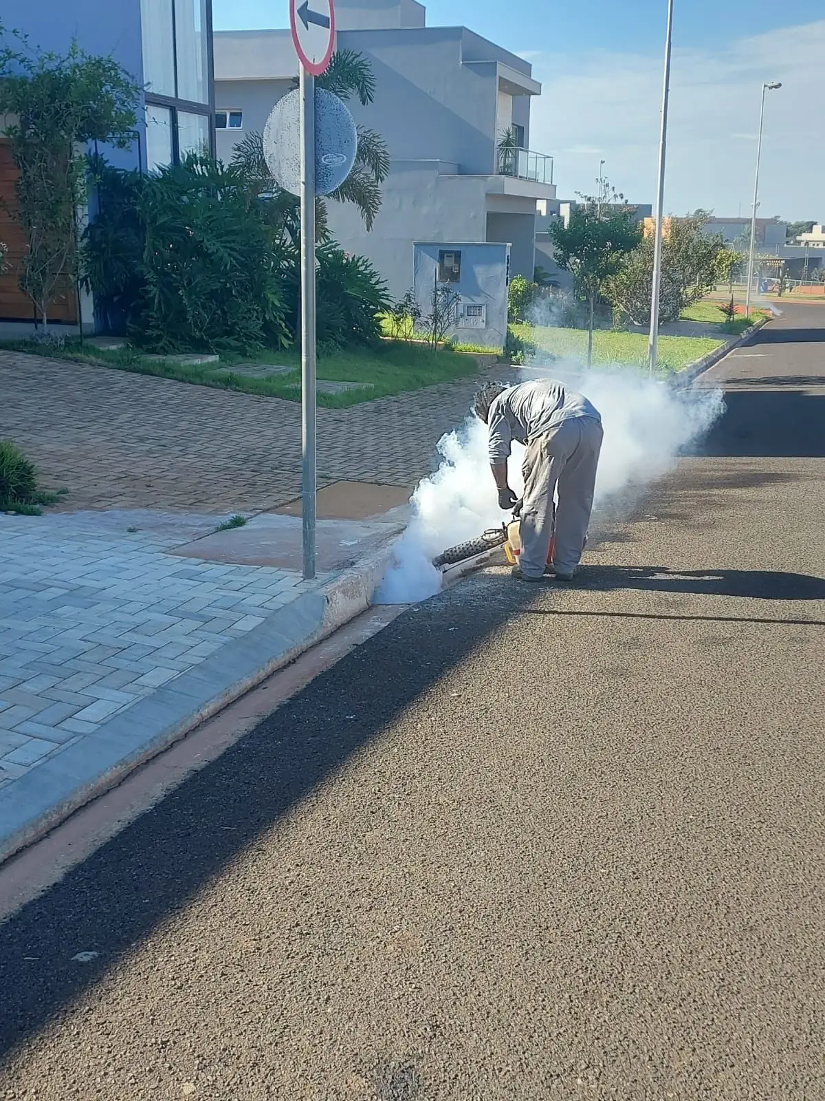 Desinsetização em Marilia