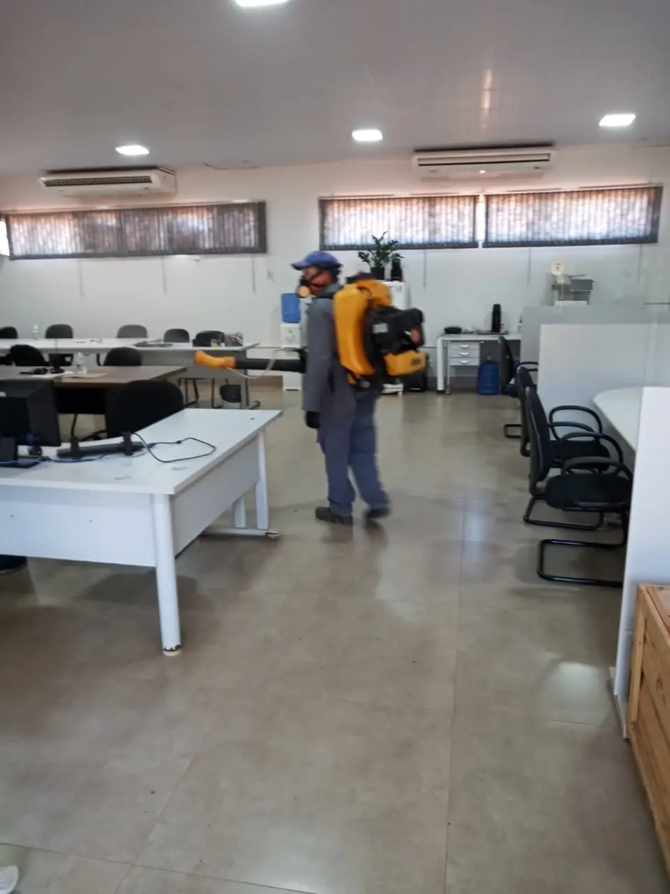 Desinsetização em Ourinhos