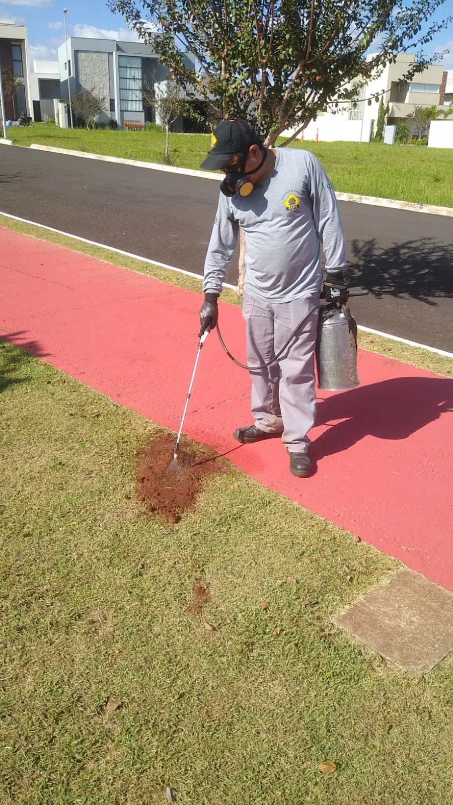 Desinsetização residencial em Lins