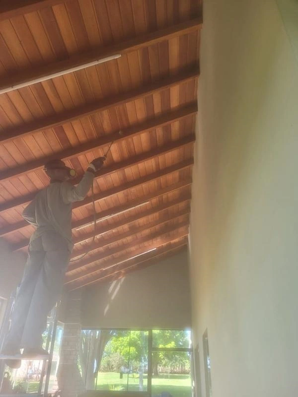 Empresa especializada em cupim