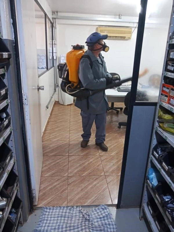 Serviço de descupinização