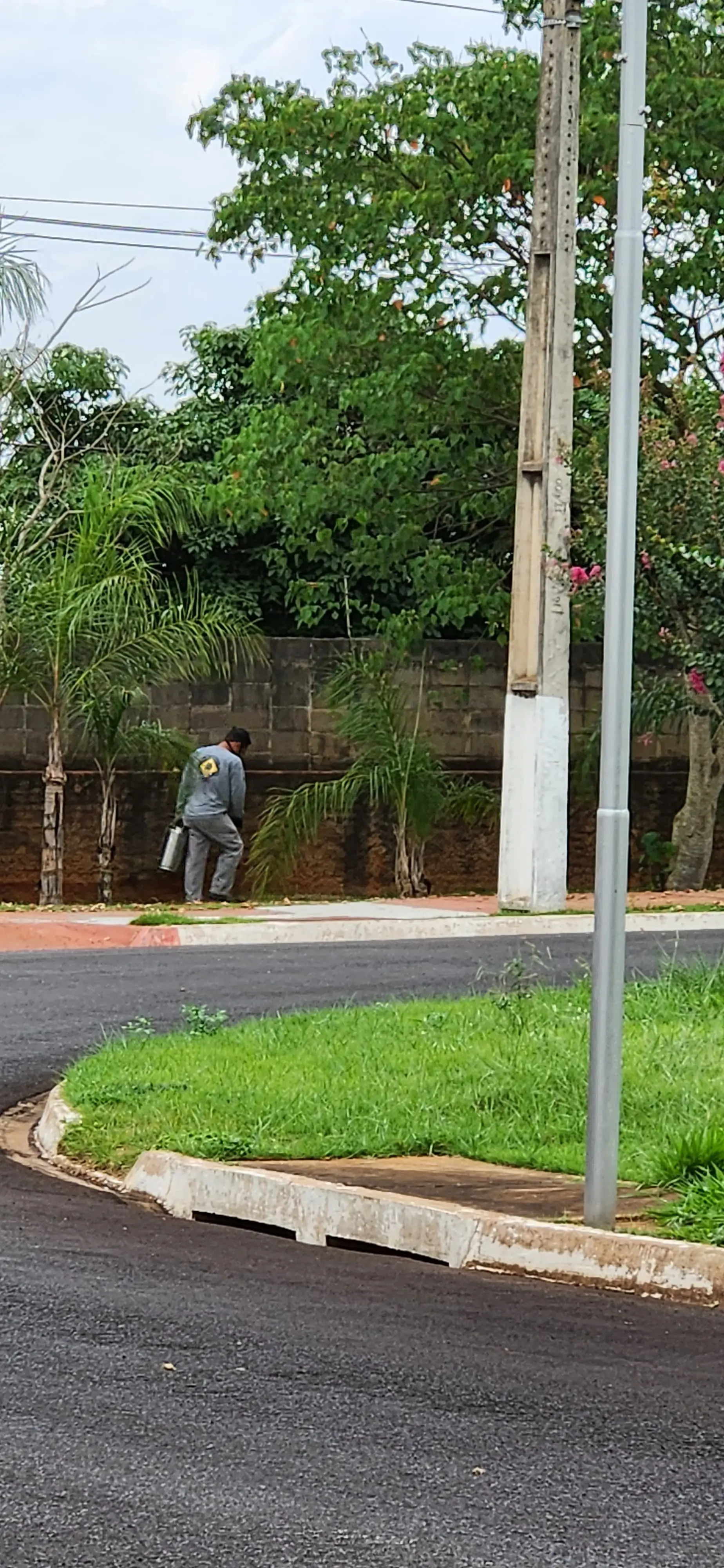 Serviço de desinsetização em Paraguaçu Paulista