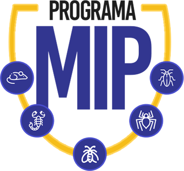 Programa MIP